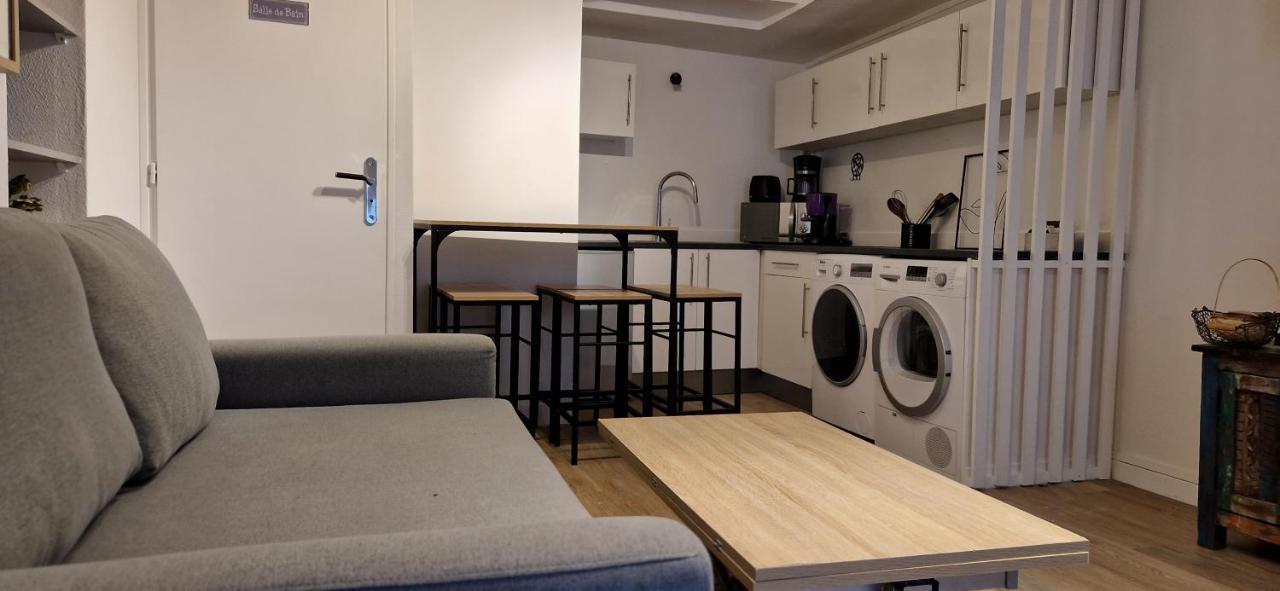 Appart Jardin En Ville Coeur De Nantes Eksteriør billede